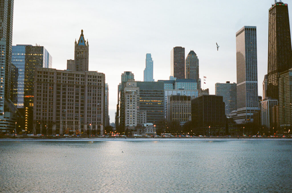 Film Photography Chicago Proposal Olive Park
