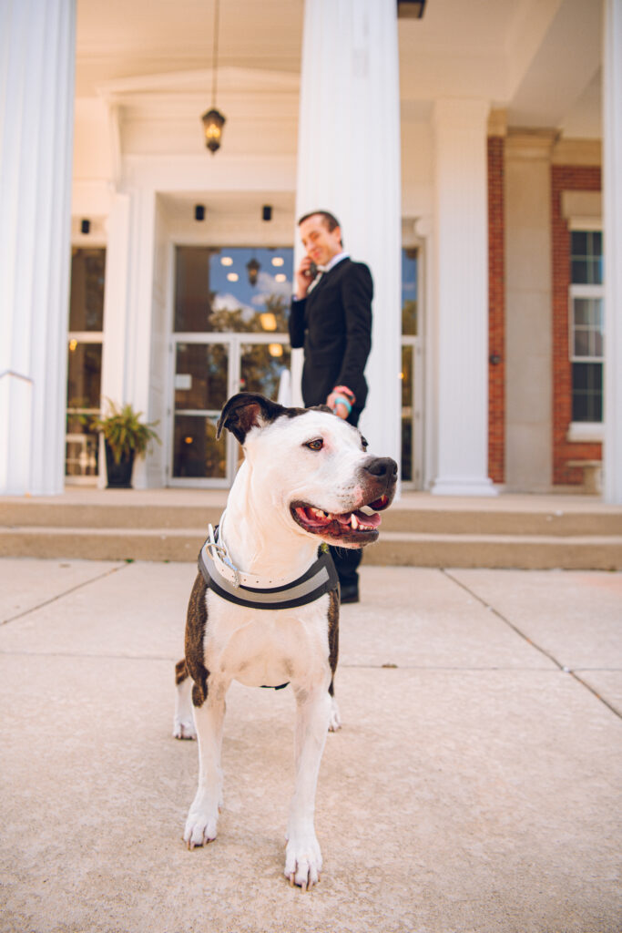 Westchester Community Church Wedding Westchester Illinois