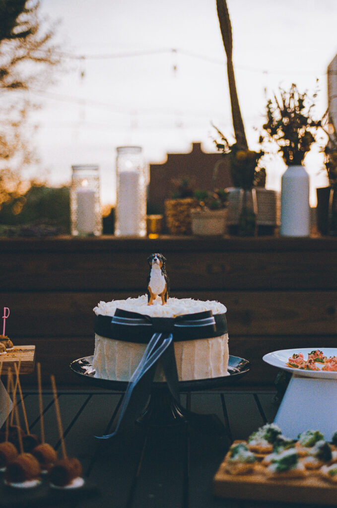A gay couple celebrates their wedding day at home with a DIY reception on their rooftop in Lakeview, Chicago.