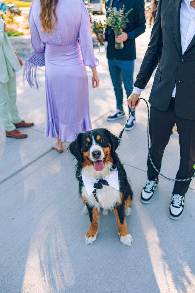 A gay couple exchanges vows at the AIDS Memorial Garden in Chicago.
