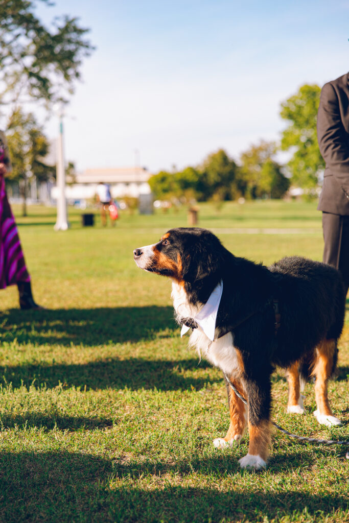 A gay couple exchanges vows at the AIDS Memorial Garden in Chicago.