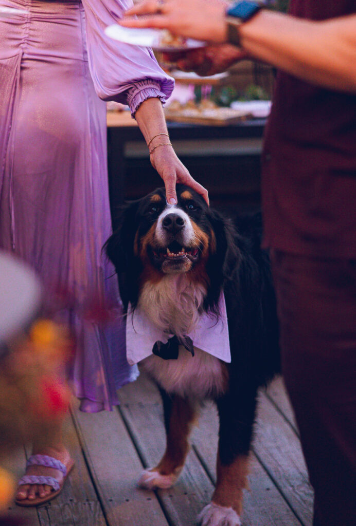 A gay couple celebrates their wedding day at home with a DIY reception on their rooftop in Lakeview, Chicago.