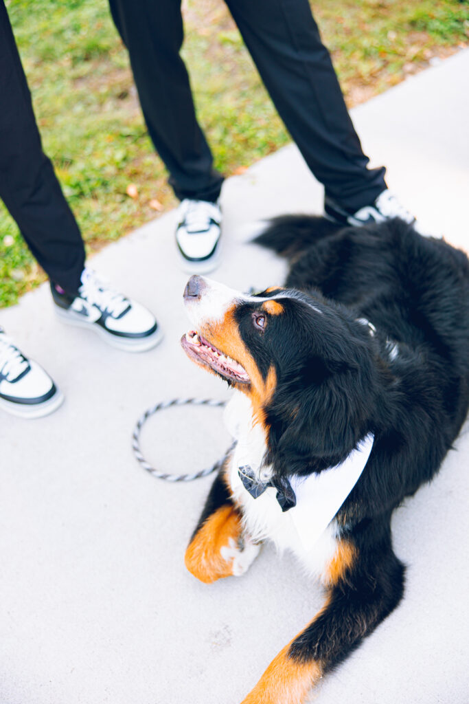A gay couple exchanges vows at the AIDS Memorial Garden in Chicago.