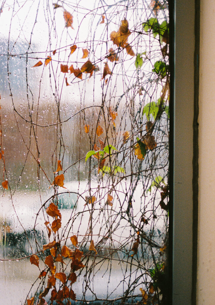 A spring wedding at Room 1520 in the West Loop of Chicago