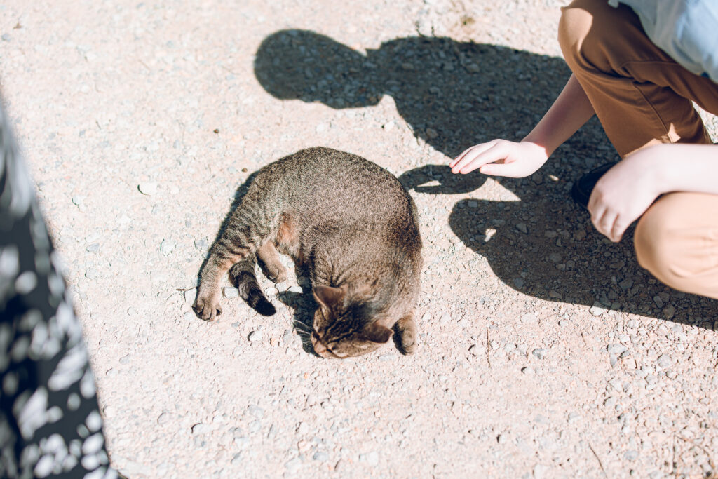 A nontraditional farm wedding at Navarro Farm in Frankfort, Illinois