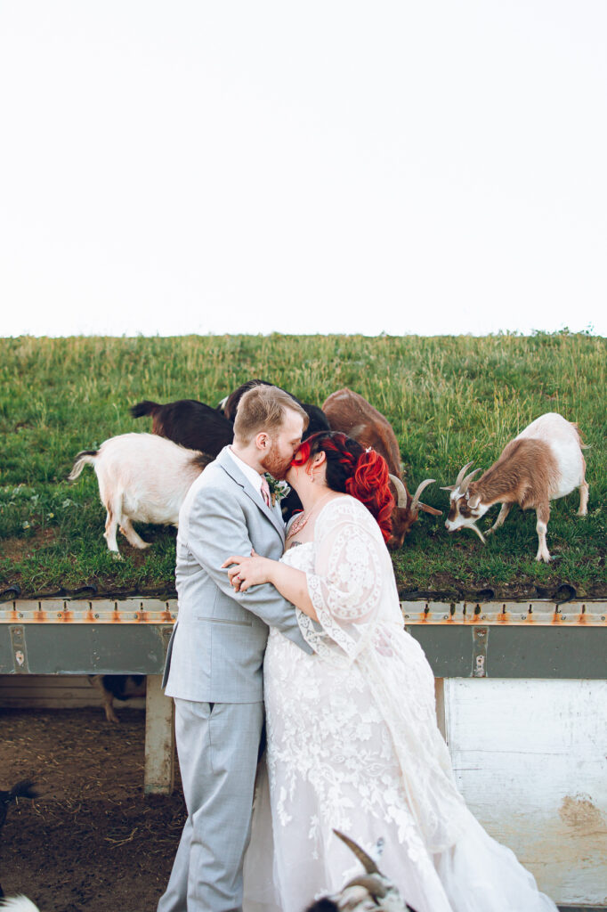 A nontraditional farm wedding at Navarro Farm in Frankfort, Illinois