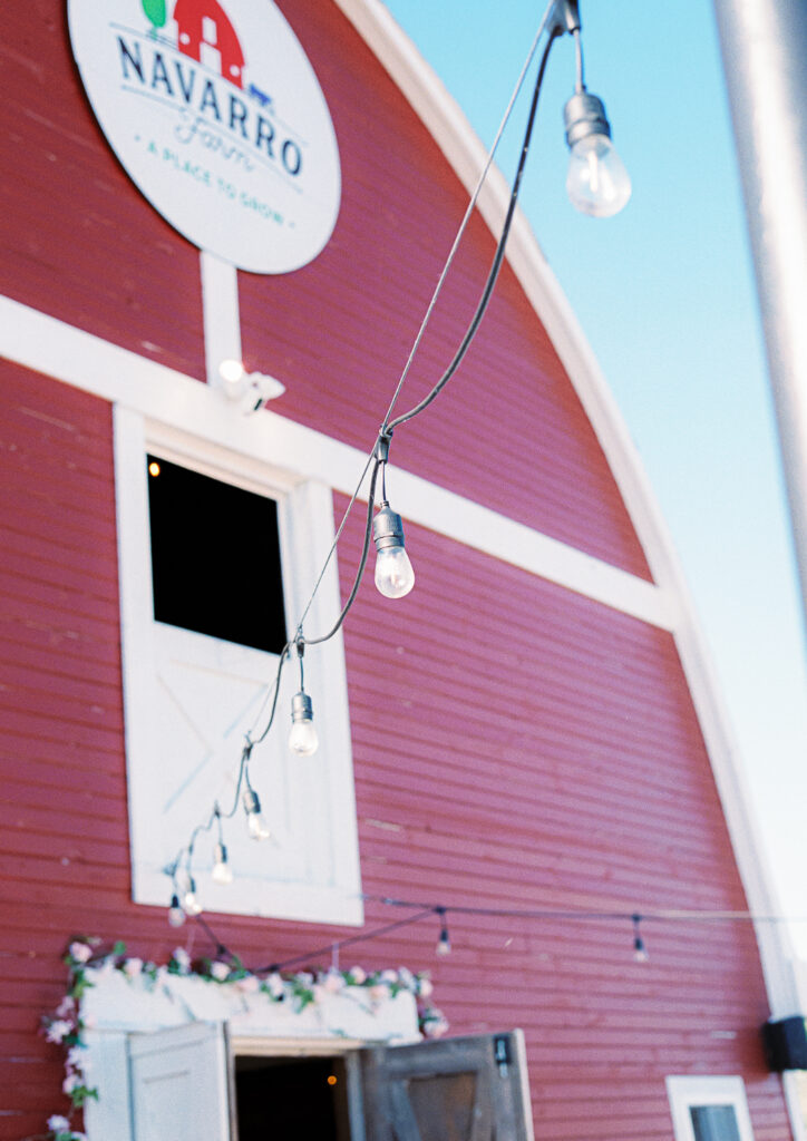A nontraditional farm wedding at Navarro Farm in Frankfort, Illinois