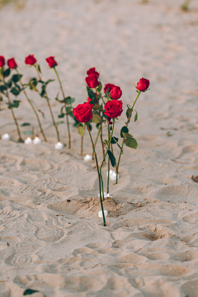 A queer proposal on Montrose Beach at sunset