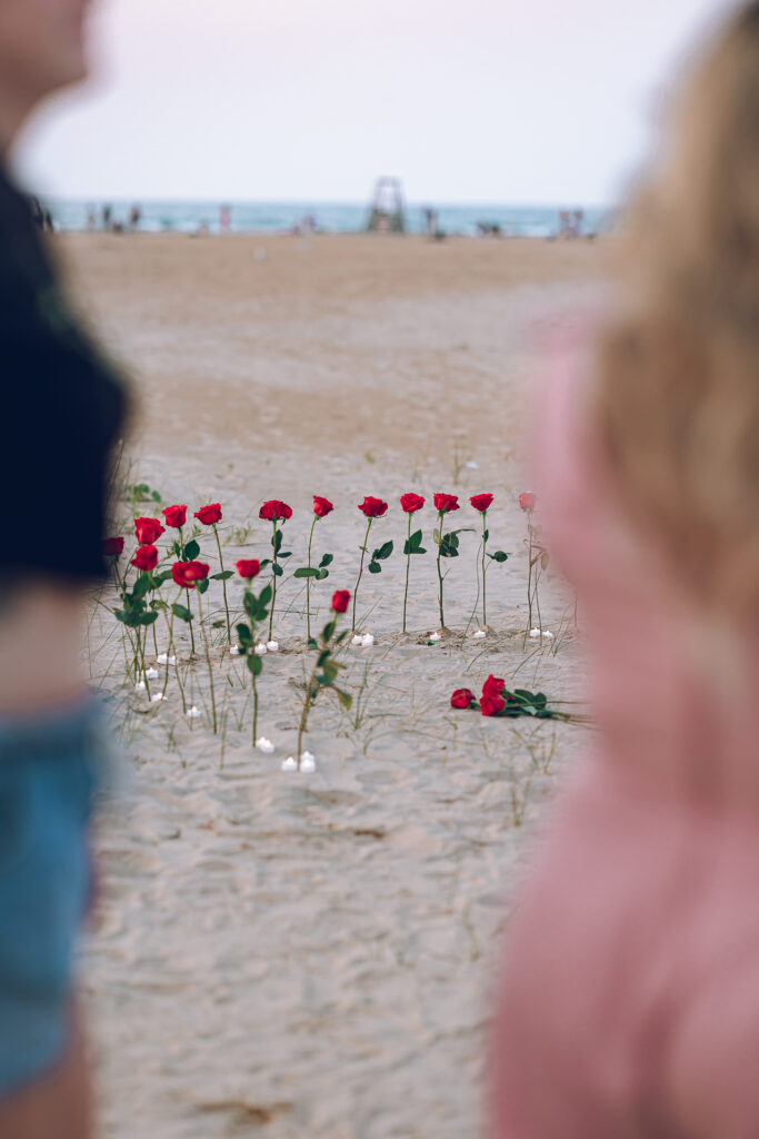 A queer proposal on Montrose Beach at sunset