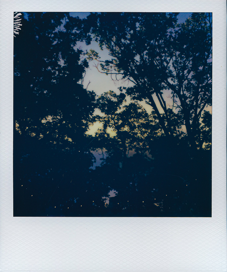 A queer couple celebrates their wedding at The Grove Redfield Estate in Glenview, Illinois.