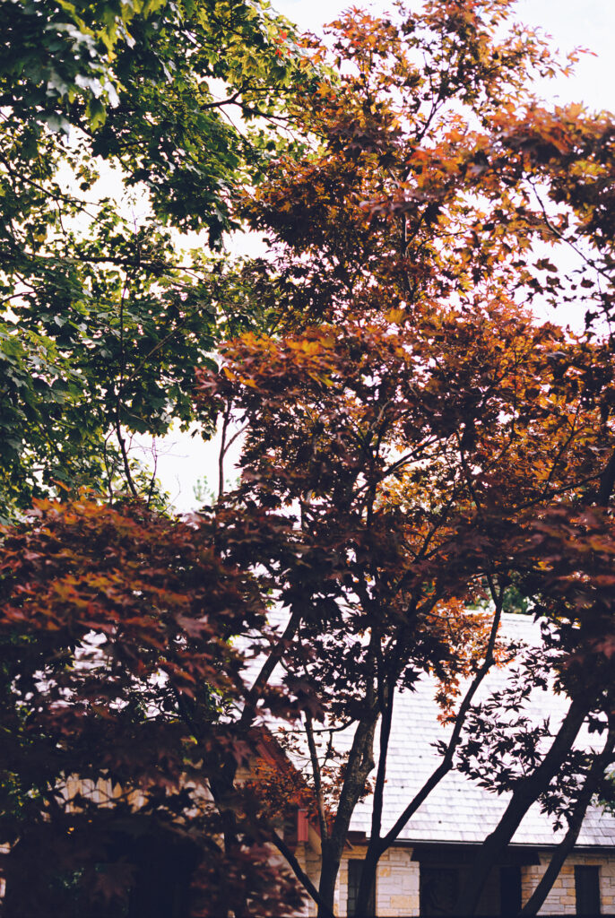 A queer couple celebrates their wedding at The Grove Redfield Estate in Glenview, Illinois.