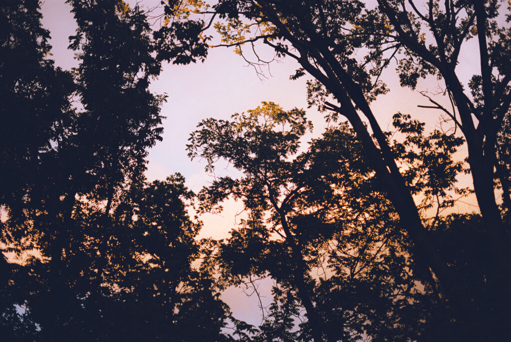 A queer couple celebrates their wedding at The Grove Redfield Estate in Glenview, Illinois.