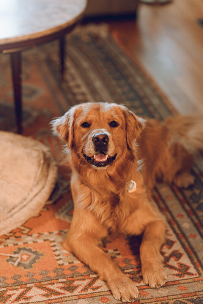 A queer couple celebrates their wedding at Osteria Via Stato